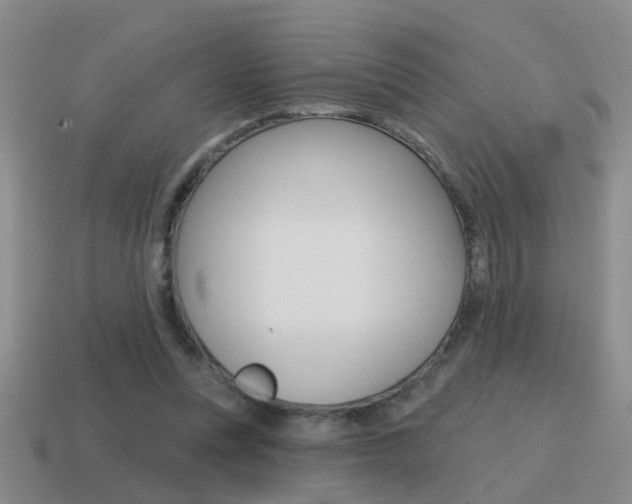 X0000115590351200911100935
