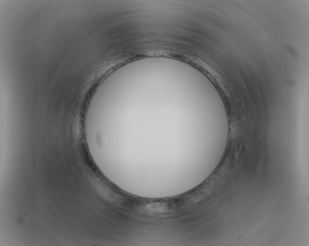 X0000115590353200911100935