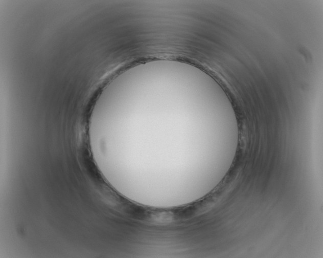 X0000115590355200911100935