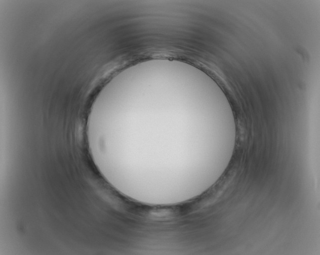 X0000115590357200911100935