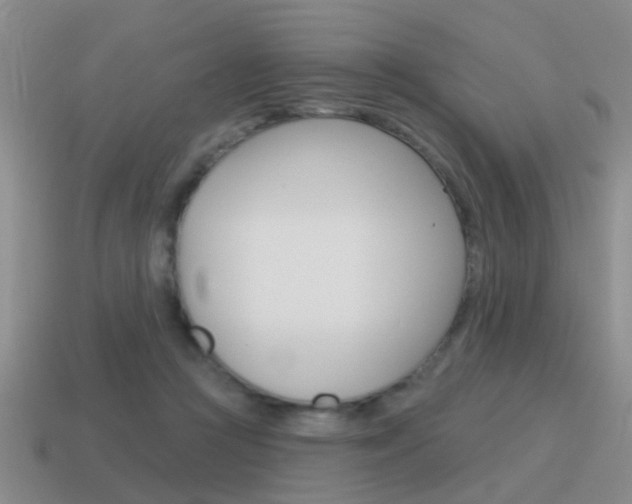 X0000115590361200911100936