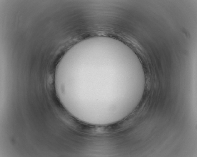 X0000115590365200911100936