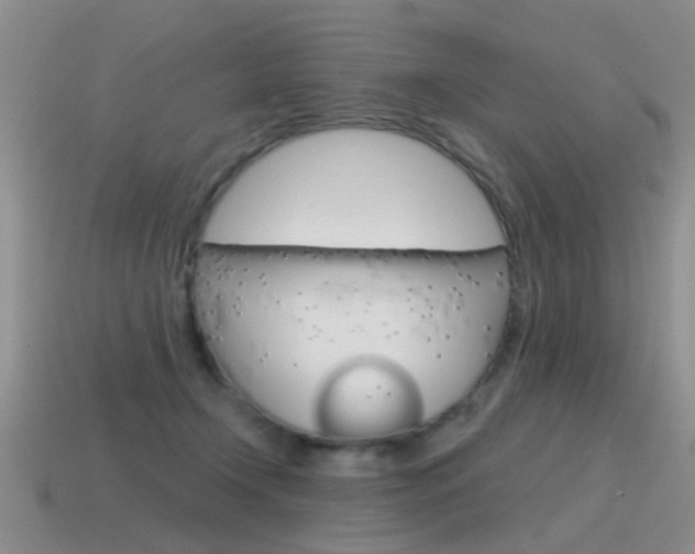 X0000115590366200911100936