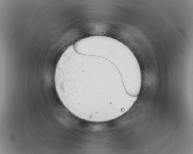 X0000115590370200911100936