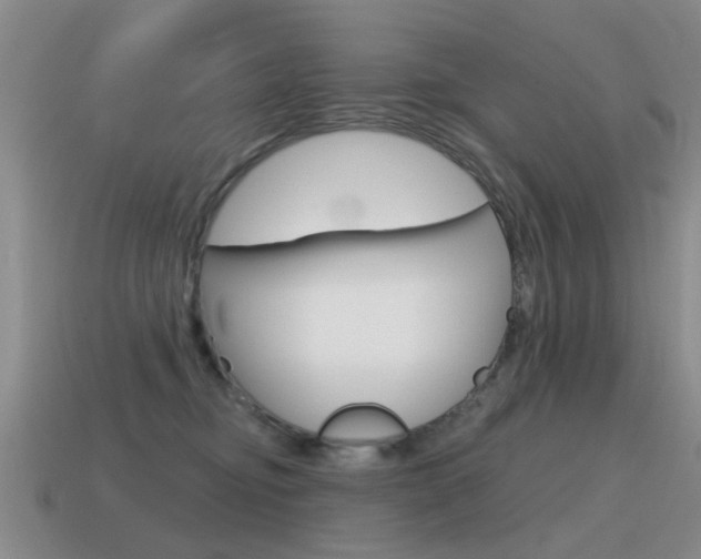 X0000115590374200911100936