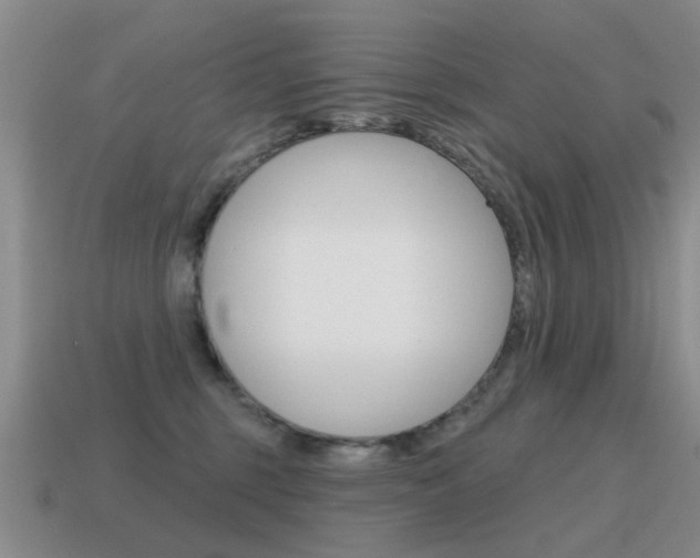 X0000115590375200911100936