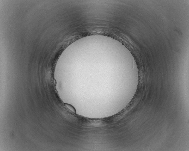 X0000115590377200911100936