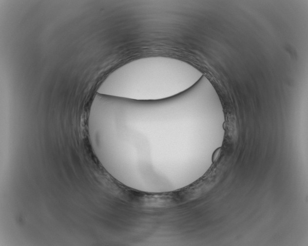 X0000115590378200911100936