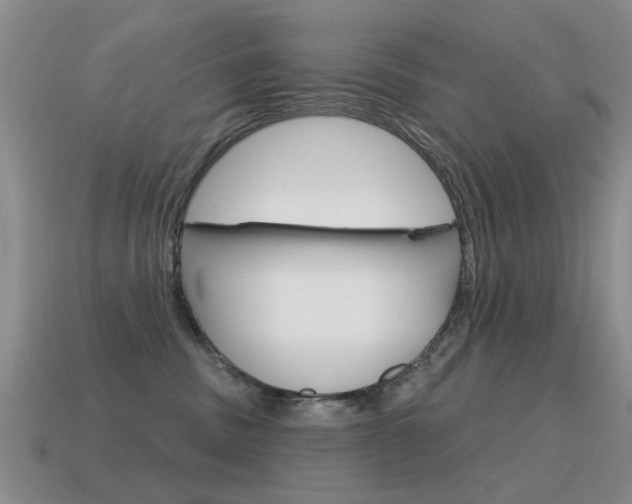 X0000115590379200911100936