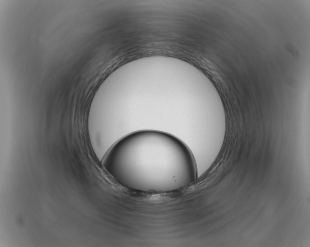 X0000115590382200911100936