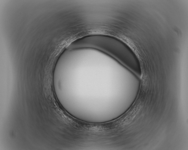 X0000115590385200911100935