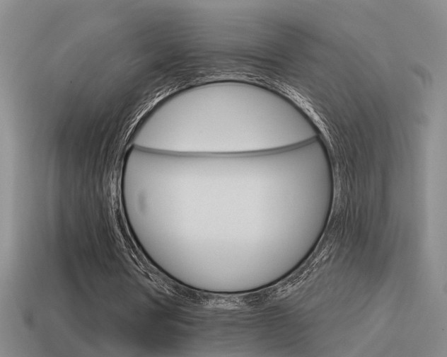 X0000115590386200911100935