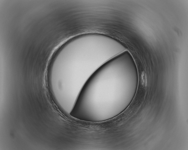 X0000115590388200911100935