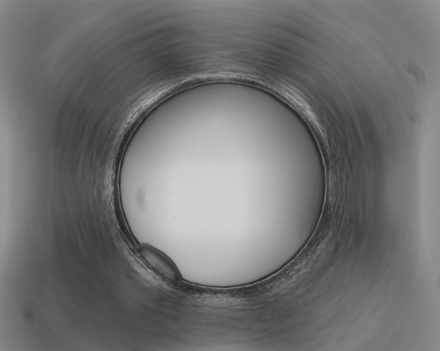 X0000115590389200911100935