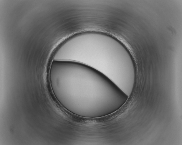 X0000115590391200911100935
