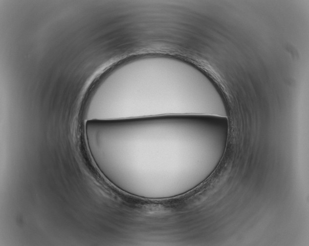X0000115590392200911100935