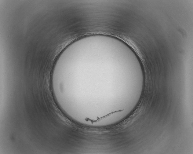 X0000115590393200911100935