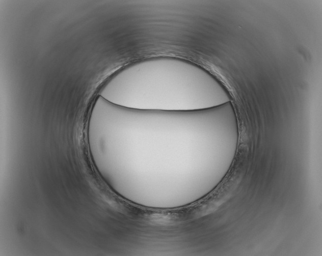 X0000115590394200911100935