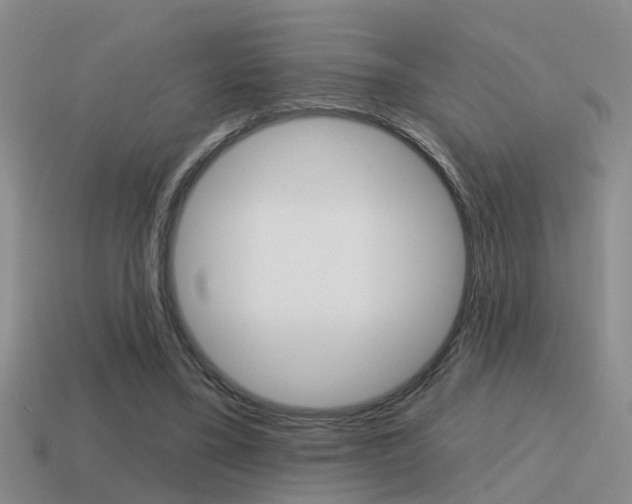 X0000115590395200911100935