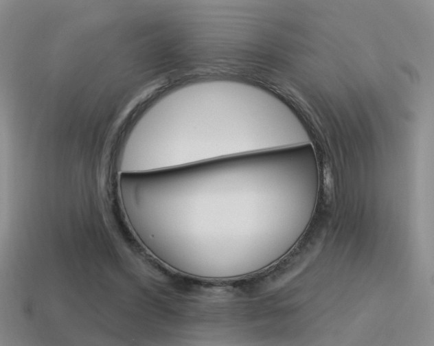 X0000115590396200911100935