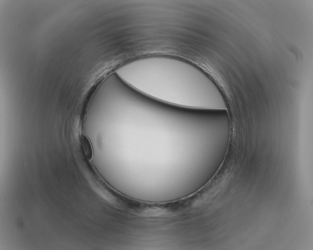 X0000115590397200911100935