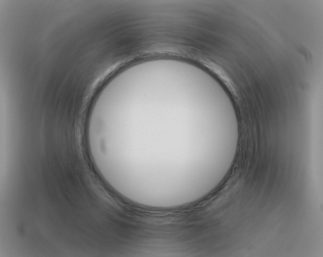 X0000115590399200911100935