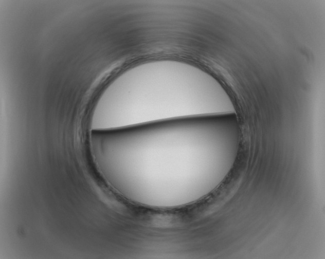X0000115590400200911100935