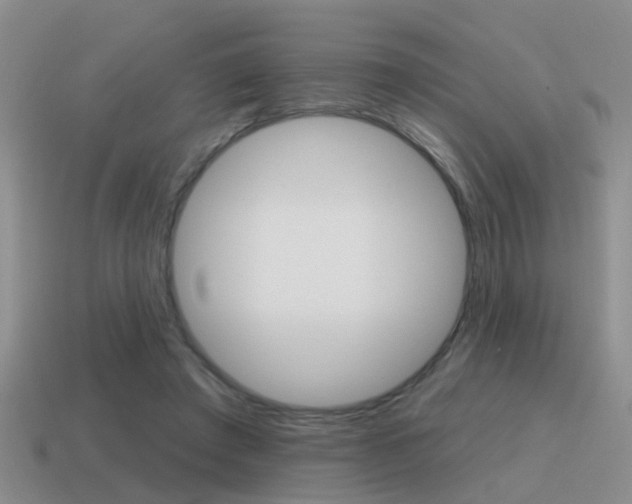 X0000115590401200911100935