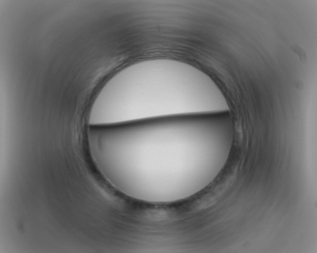 X0000115590404200911100935