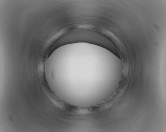 X0000115590405200911100935