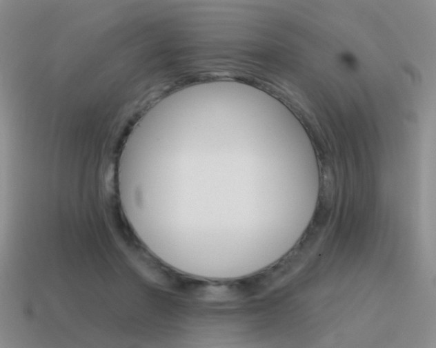 X0000115590406200911100935