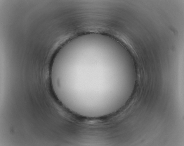 X0000115590407200911100935