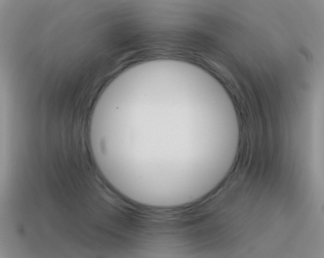 X0000115590409200911100935