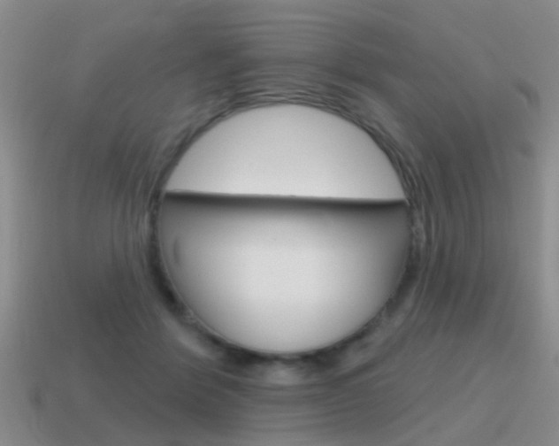 X0000115590412200911100935
