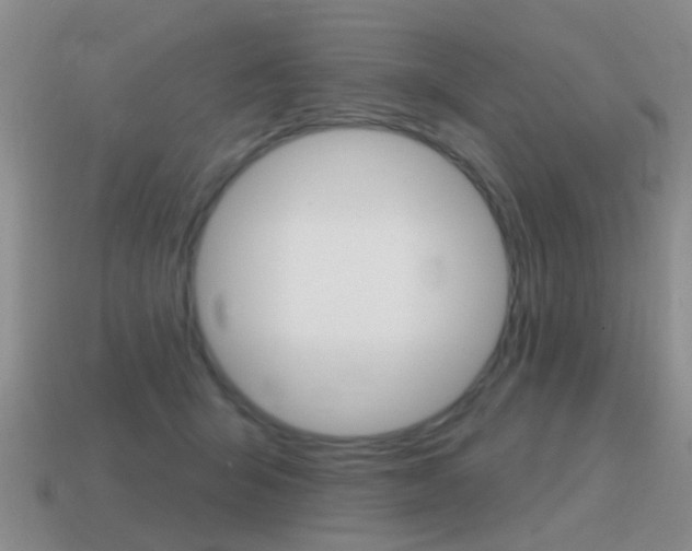 X0000115590415200911100935