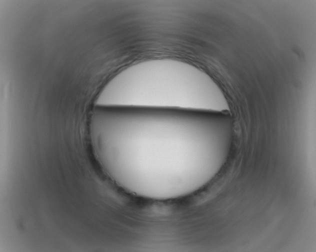 X0000115590416200911100935