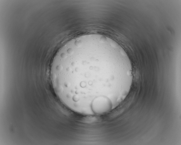 X0000115590418200911100935