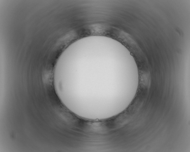 X0000115590419200911100935