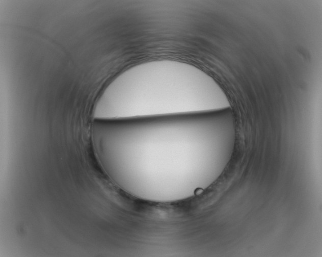 X0000115590420200911100935