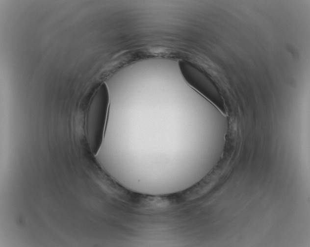 X0000115590421200911100935