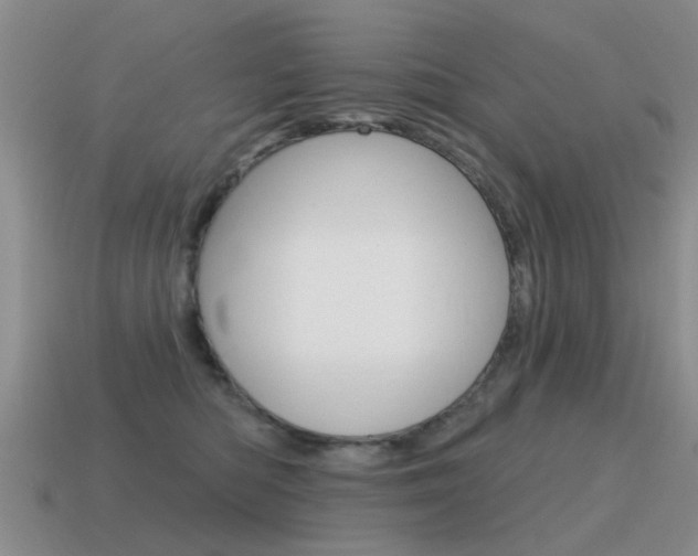 X0000115590422200911100935