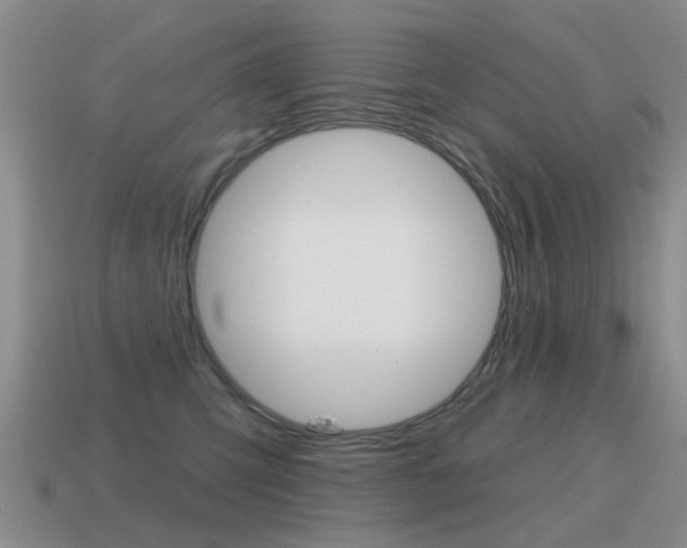 X0000115590423200911100935