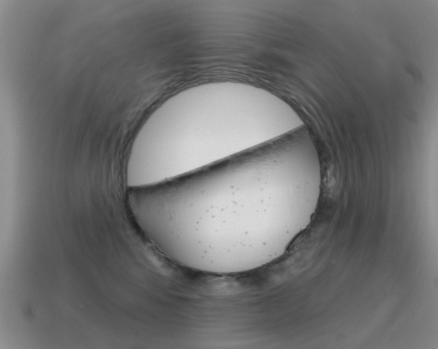 X0000115590424200911100935