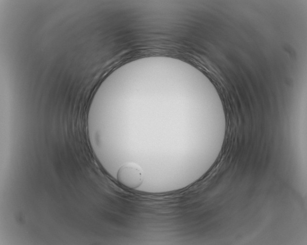 X0000115590425200911100935