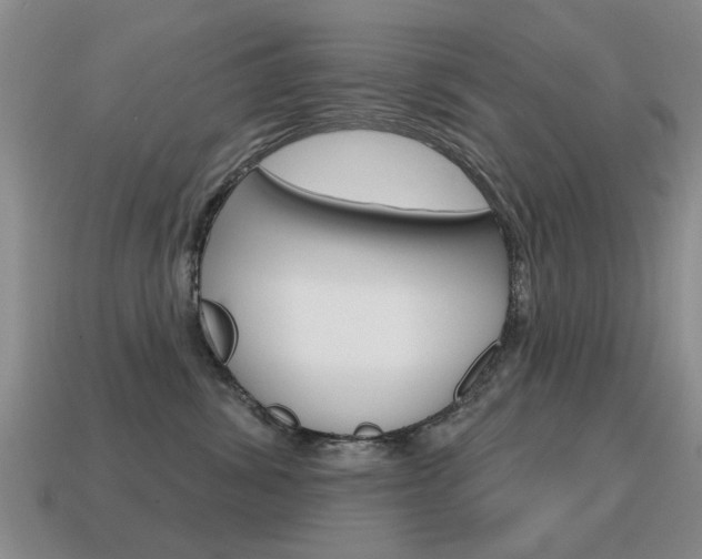 X0000115590428200911100935