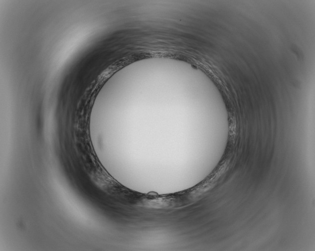 X0000115590430200911100935