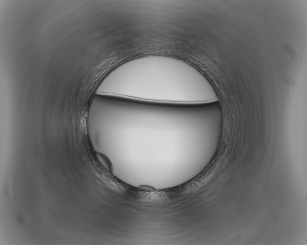 X0000115590432200911100935
