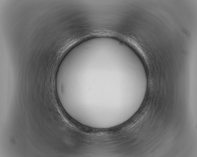 X0000115590433200911100934