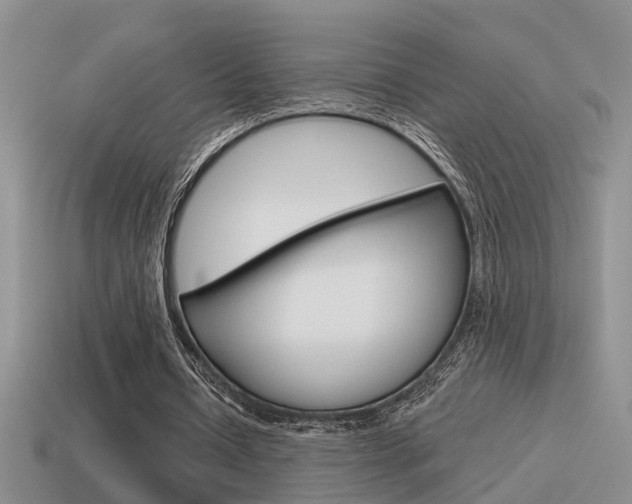 X0000115590434200911100934