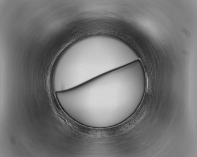 X0000115590435200911100934